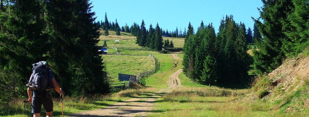 Bucovina leg on  Via Transilvanica
