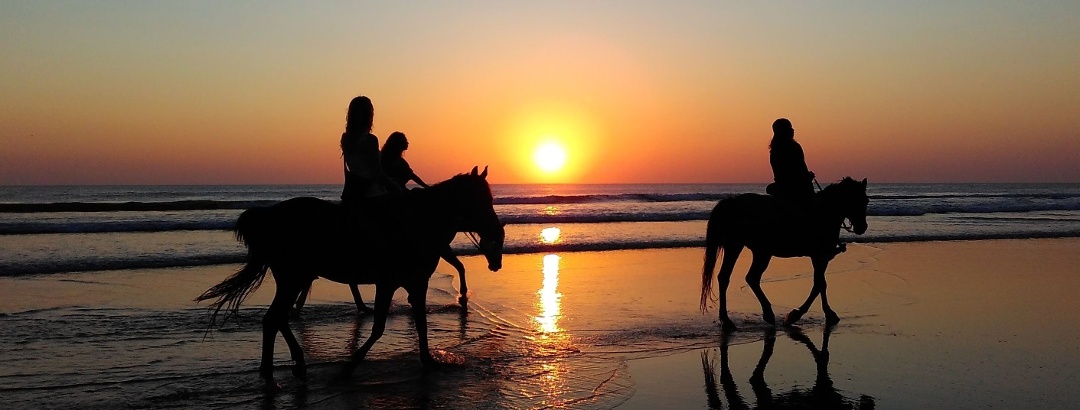 Gemeinsam mit dem Pferd in den Sonnenuntergang zu reiten.