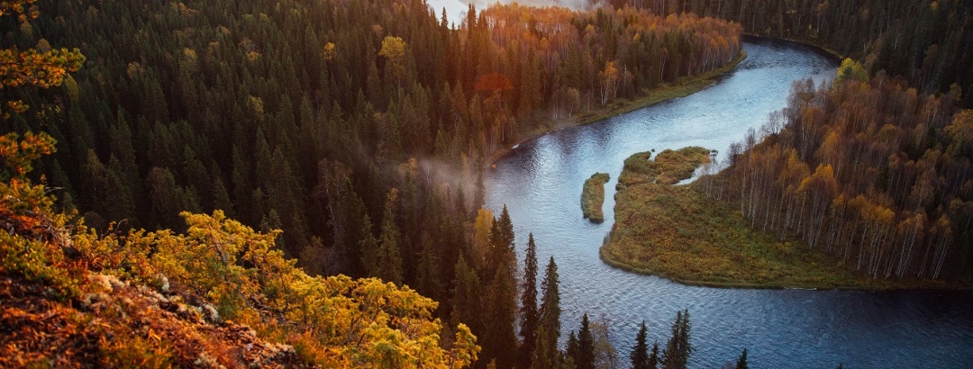 Landscape in Oulanka National Park