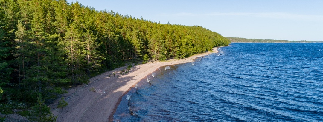 Rastinniemi is a wonderful nature destination on the shores of Lake Saimaa