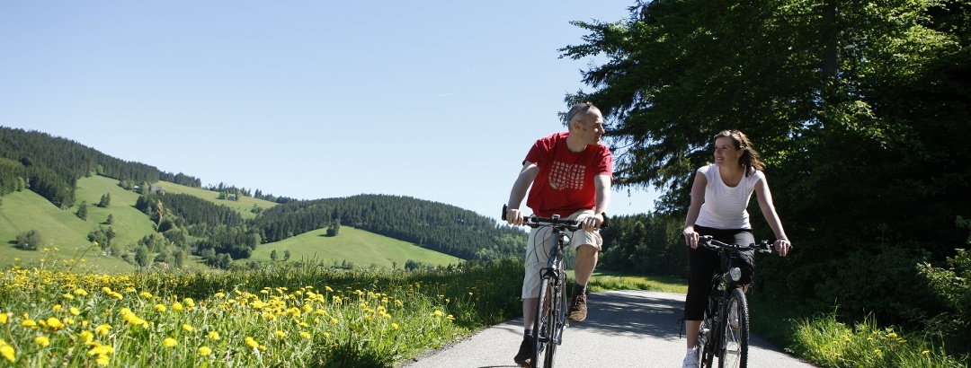 Mit dem Tourenrad auf den schönsten Radwegen im Schwarzwald